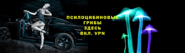 ГАЛЛЮЦИНОГЕННЫЕ ГРИБЫ Алзамай