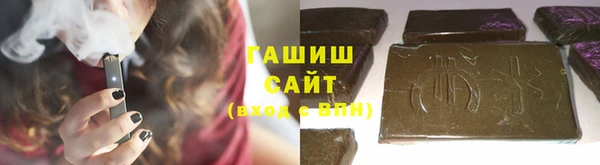 индика Абаза