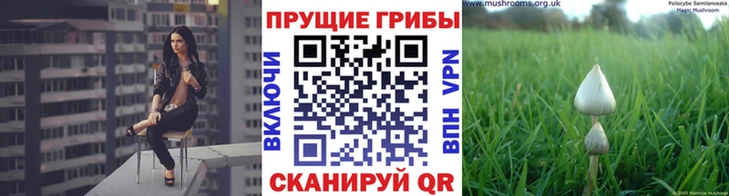 mega ссылка  дарк нет телеграм  Собинка  Галлюциногенные грибы GOLDEN TEACHER  хочу  